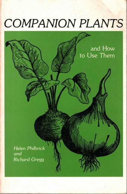 Companion Plants and How To Use Them