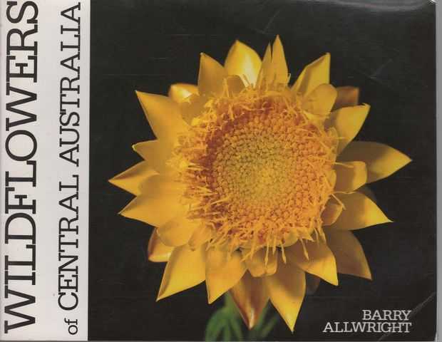 Wildflowers of Central Australia