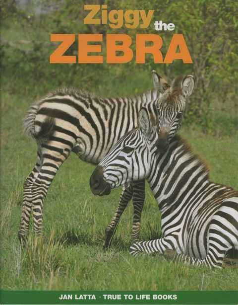 Ziggy The Zebra [True to Life Books]