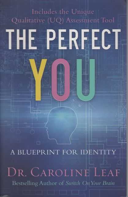 The Perfect You: A Blueprint for Identity