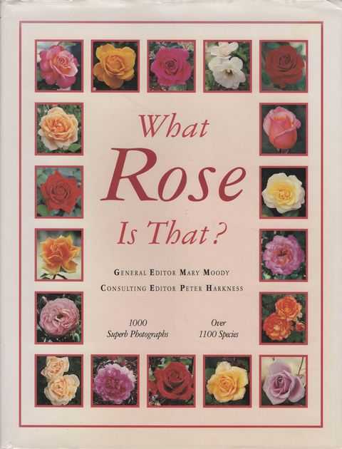 What Rose is That