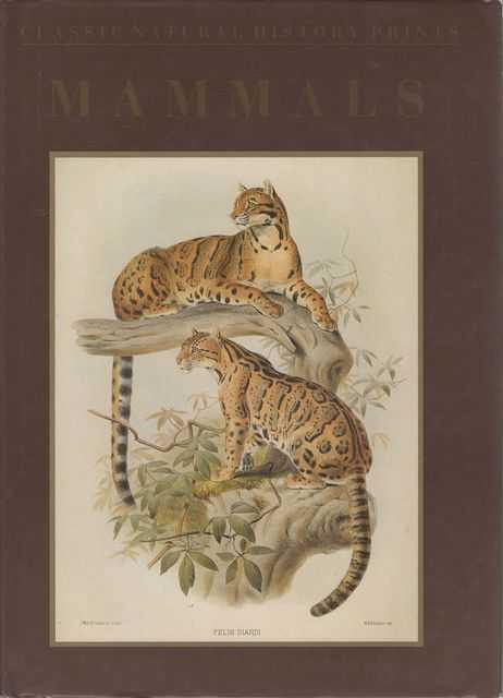 Classic Natural History Prints: Mammals