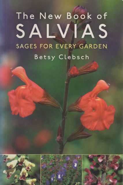 Image for The New Book of Salvias: Sages for Every Garden The New Book of Salvias: Sages for Every Garden