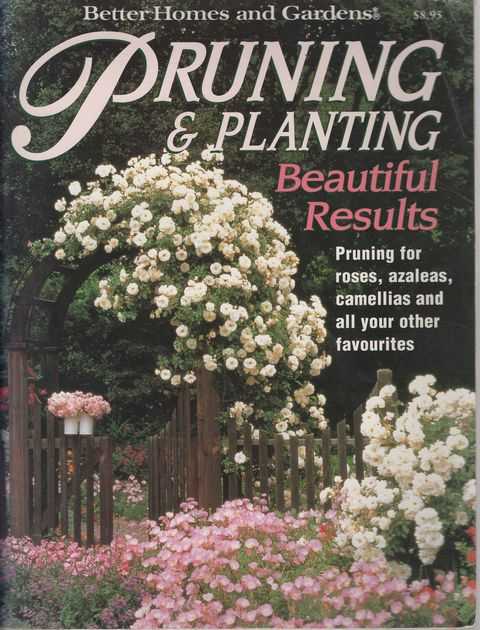 Pruning & Planting: Beautiful Results