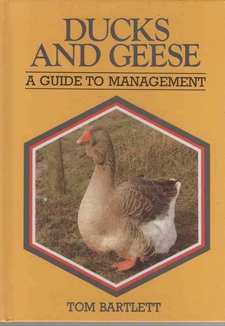 Ducks and Geese: A Guide to Management