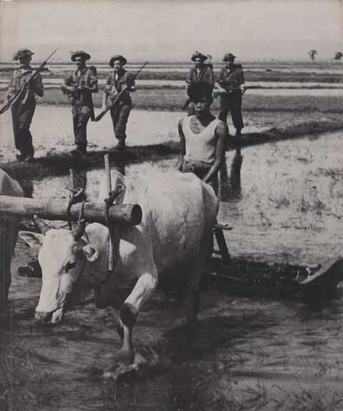 China - Burma - India [World War II]