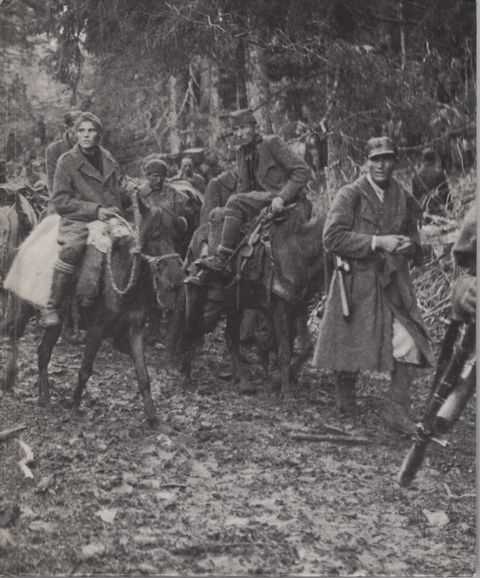 Partisans and Guerrillas [World War II]