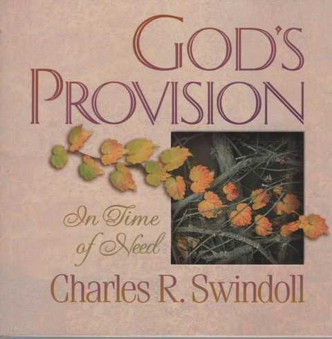 God's Provision: In Time of Need