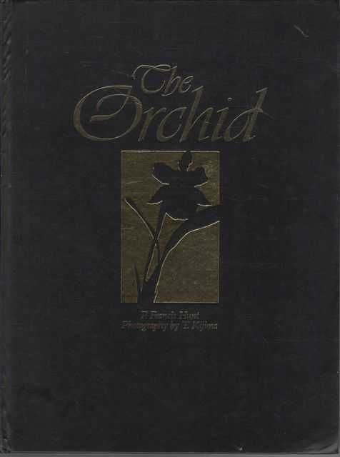 The Orchid