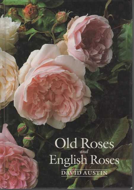 Old Roses and English Roses