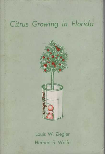 Citrus Growing in Florida