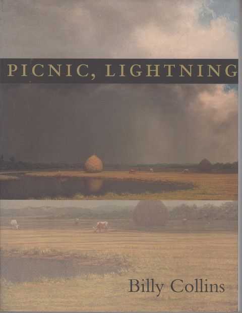 Picnic, Lightning